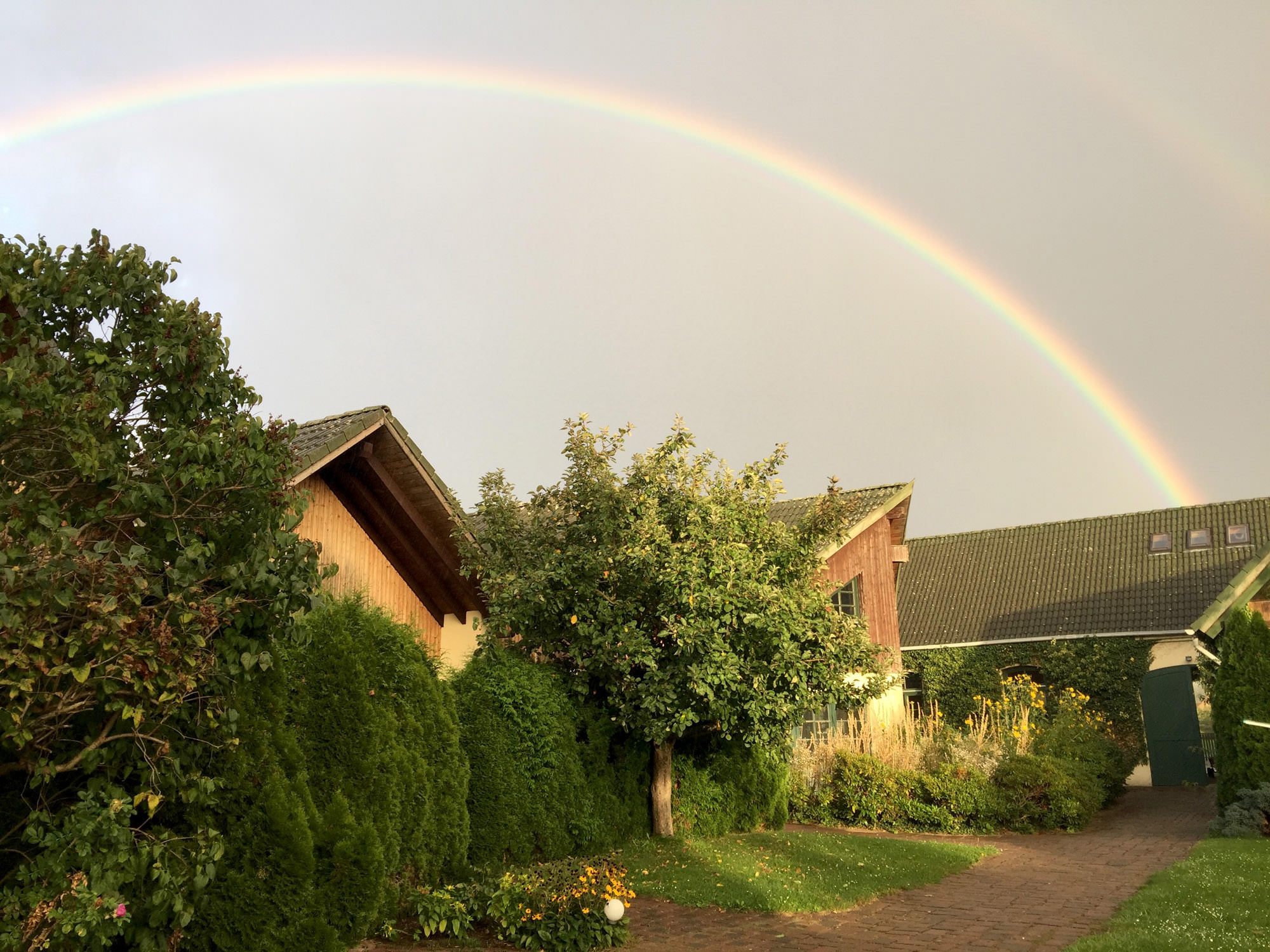 Regenbogen