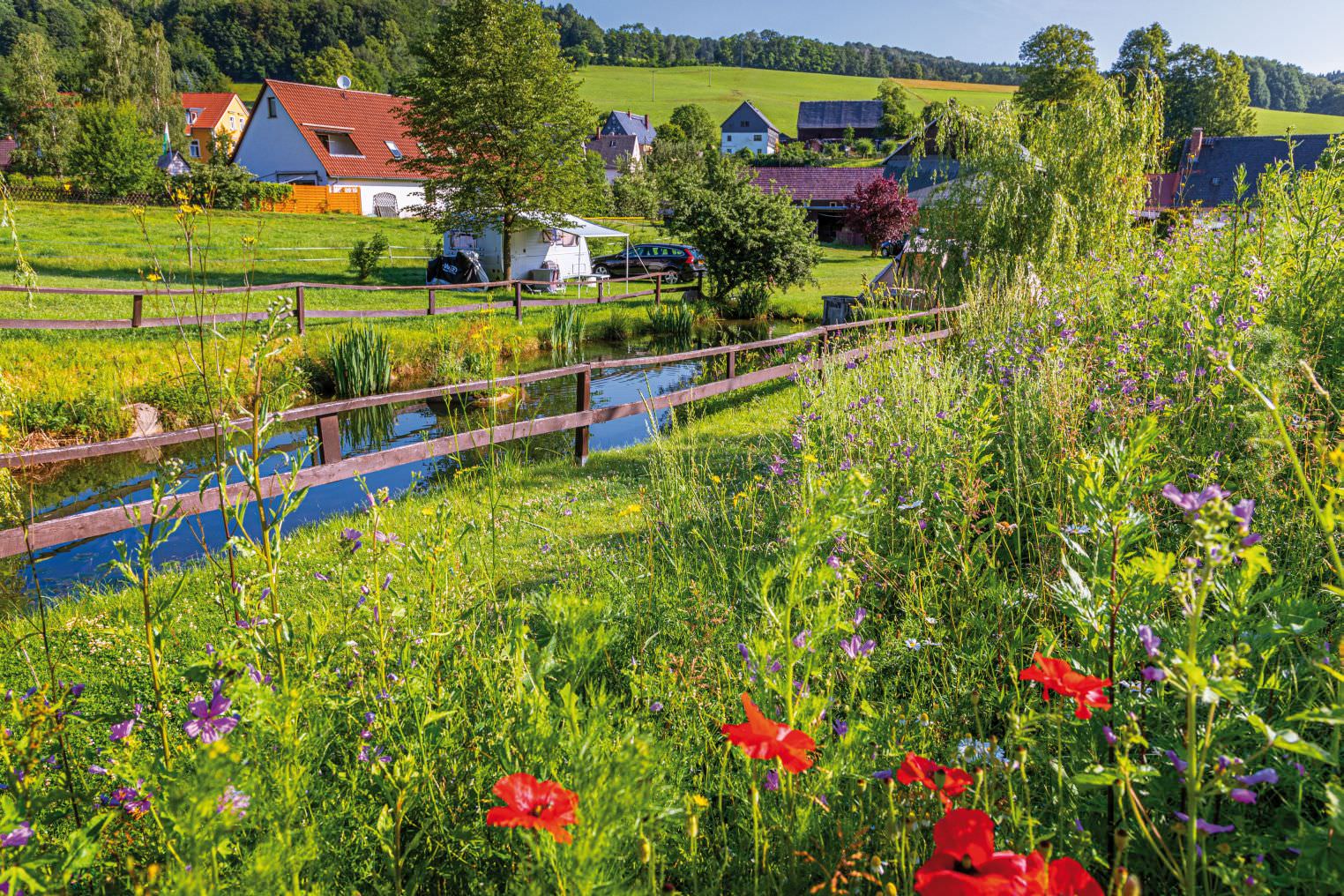 Camping Natur