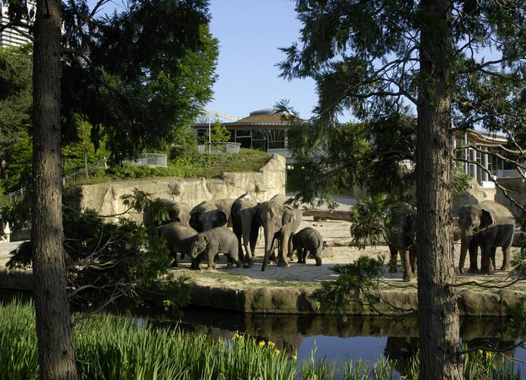 Kölner Zoo