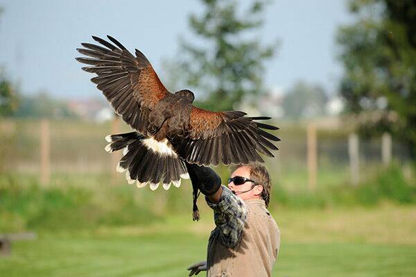 Wildpark Poing Bayern