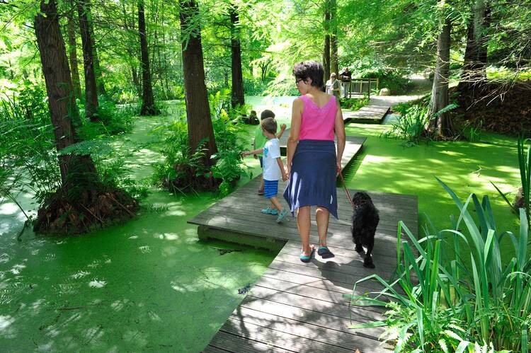 Botanischer Garten Bochum