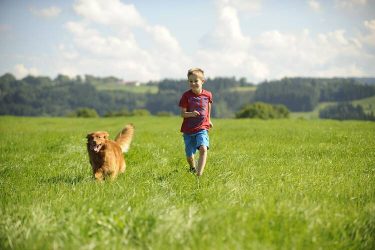 Allgäu mit Kindern