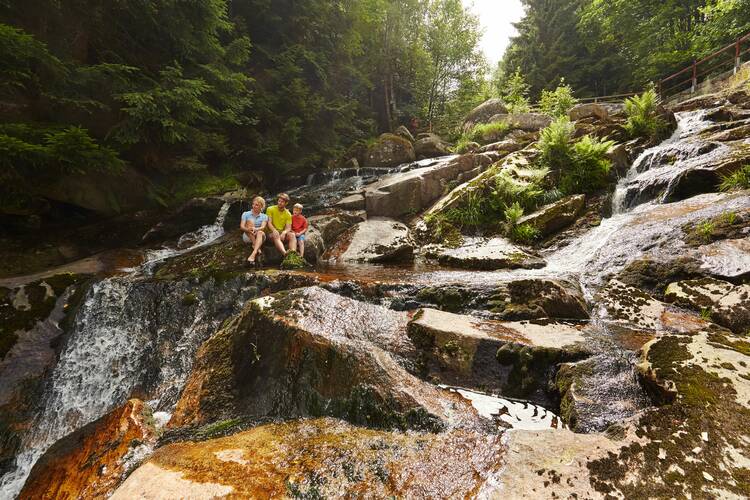 Harz mit Kindern