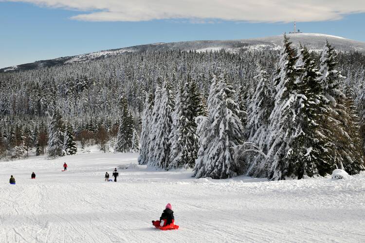 Rodeln im Harz