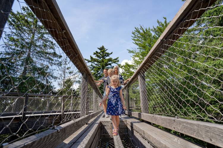Die 14 schönsten Baumwipfelpfade in Deutschland Baumwipfelpfade Deutschland