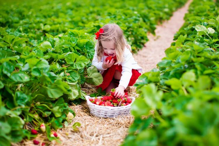 Aktivitäten Sommer Kinder