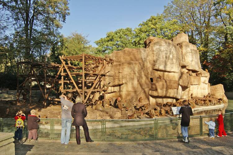 Köln Zoo